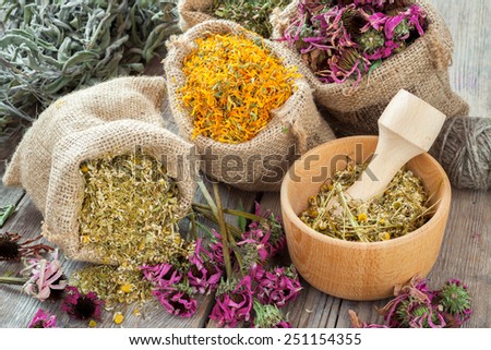 Healing herbs in hessian bags, wooden mortar with chamomile on rustic table, herbal medicine.