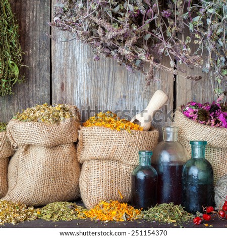 Healing herbs in hessian bags and bottles of essential oil or tincture near rustic wooden wall, herbal medicine.