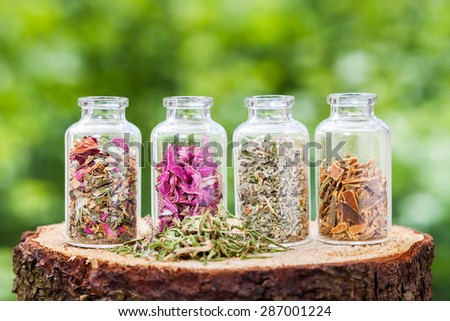 Glass bottles with healing herbs on wooden stump on green background, herbal medicine.