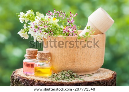 Rustic mortar with healing herbs and bottles with essential oil on wooden stump outdoors.