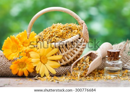 Marigold flowers, basket with dried plants and bottles of essential calendula oil.
