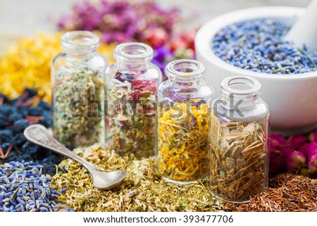 Bottles of healing herbs and mortar with dry lavender flowers, herbal medicine.