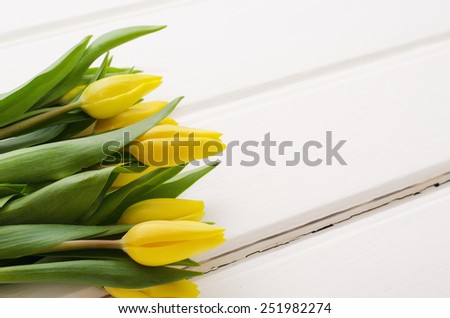 Yellow tulips on white boards