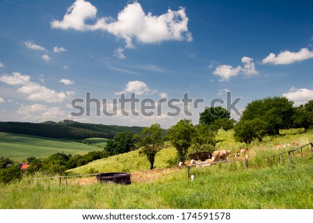 summer Landscape Unterbodnitz with castle Leuchtenburg on horizon and cows on the meadow