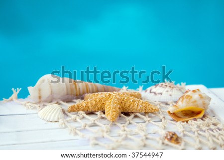wooden treasure box with mussels in front of blue water