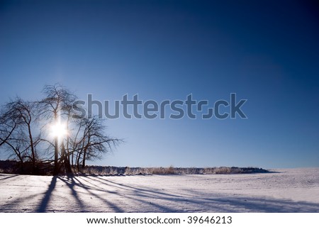 back light winter landscape with snow and sunlight star