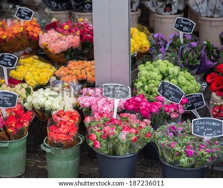 Famous flower market in the Netherlands Amsterdam