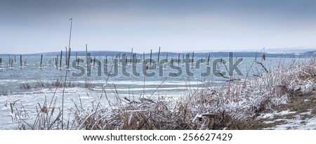 Winter lake with frozen grass and snow