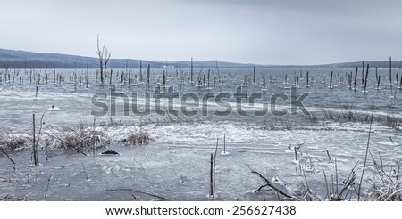 Winter lake with frozen grass and snow