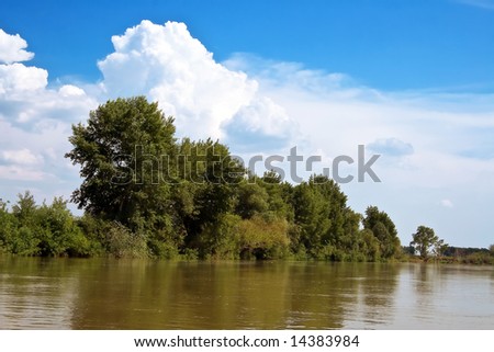 Hot summer day. On the bank of the river - the trees. A blue sky. Travel and Recreation summer in nature is very useful for health.