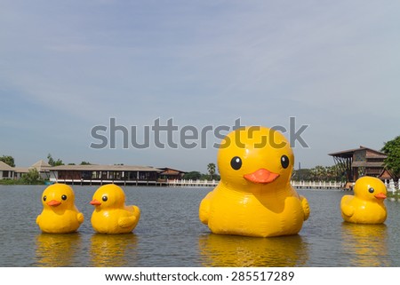 Doll Family yellow ducks on the lake