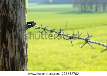 part of barb wire fence with green meadow