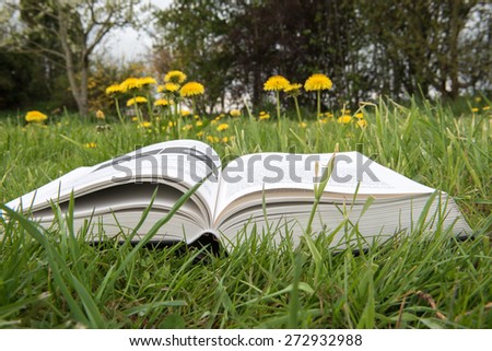 opened big book in the meadow