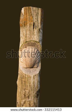 scallop  carved in a wooden pole
