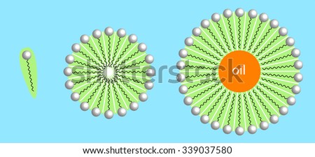 detergents forming micelles with oil droplet