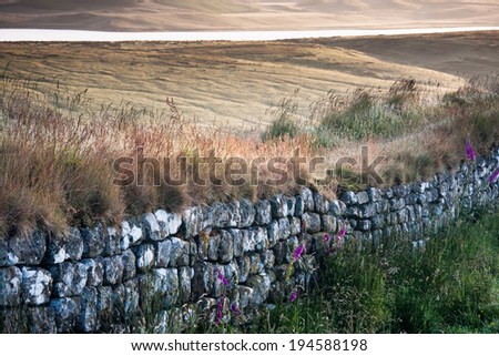 Hadrian\'s wall, Northumberland, Scotland, UK