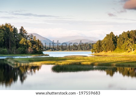 Mirror like reflections upon Loch Insh near Kincraig in the Cairngorms National Park, Scotland, UK