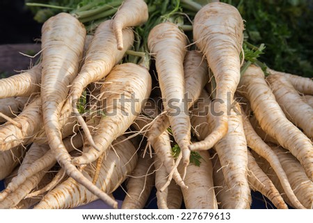 Fresh parsley root on the market