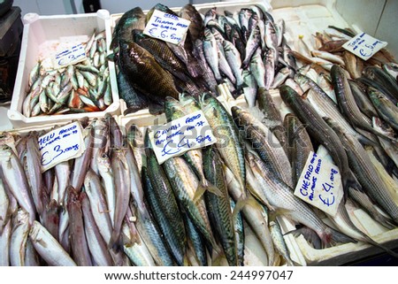 Close up of fish on display in a fish market, Rome, Italy