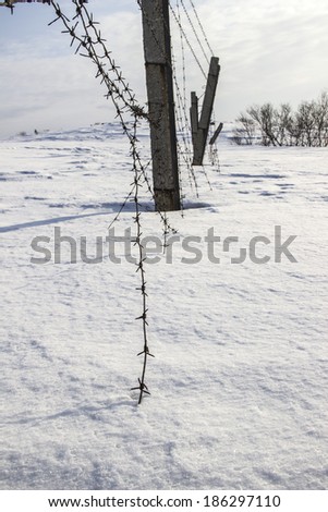Barbed wire on a background of snow