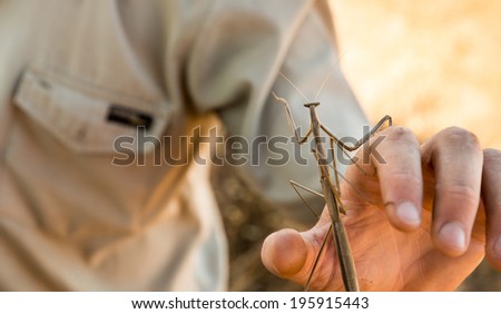 Praying mantis reaching out on game rangers hand
