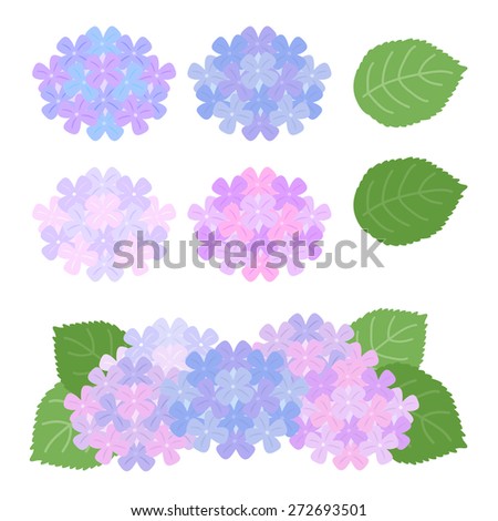 Set of hydrangea flowers / vector eps10 illustration