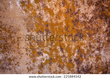 Grungy wall texture with paint and scuffed breakaway shot close-up, color tinting