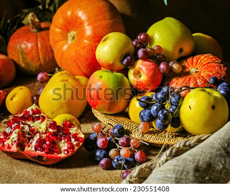 Still life harvest festival of fresh and ripe fruits and vegetables: pumpkin, apples, pears, grapes and pomegranates