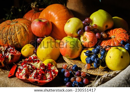 Still life harvest festival of fresh and ripe fruits and vegetables: pumpkin, apples, pears, grapes and pomegranates