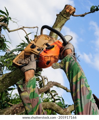 The saw use chain saw cutting  the wood