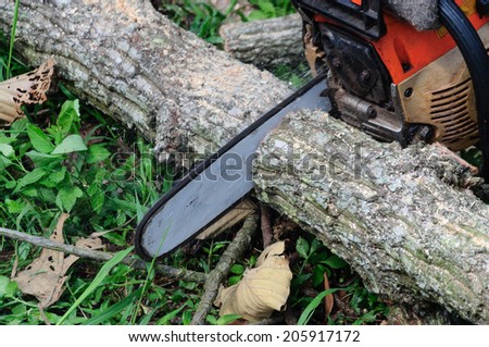The saw use chain saw cutting  the wood