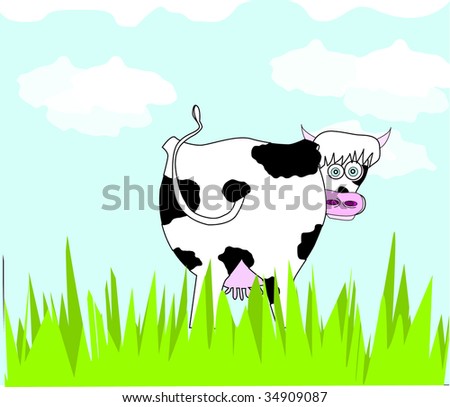 funny cows. a funny cow on the meadow