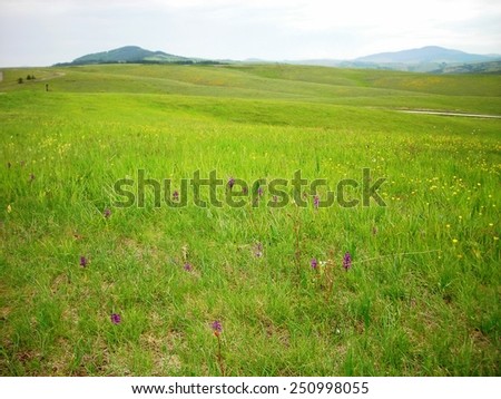 ZLATIBOR, SERBIA - MAY 21, 2012: Late spring landscape on Zlatibor mountain in the western part of Serbia. Zlatibor is a climatic resort and one of the major touristic destinations in Serbia.