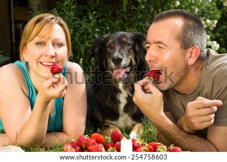 A man and a woman lying with her dog on the grass and eating strawberries