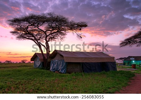 Expedition overnight in tents in savanna camp during safari