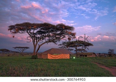 Overnight in tents in savanna camp during safari