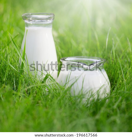 Two bottles of fresh milk over summer background