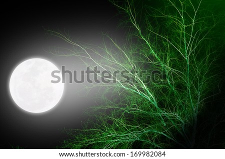 Full Moon shinning on a leafless winter tree at night Full Moon shinning on a leafless winter tree at night