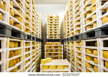 Cheese factory warehouse with shelves stacked with rows of cheese.