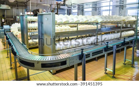 Conveyor belt in a cheese factory with a plastic cheese molds