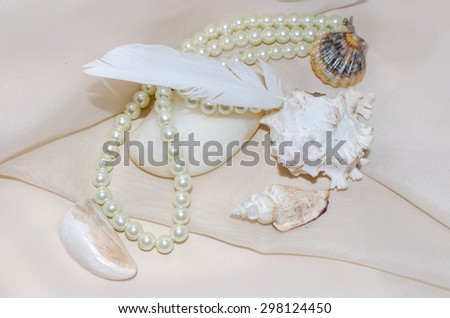 Vintage composition with pearls, shellfish, white sea stone and feather