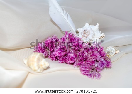 Vintage composition with pink dry flowers, feather and shellfish