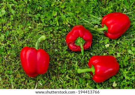 red peppers on the green grass background. selective focus on the middle pepper
