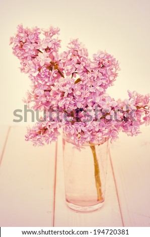 lilac on a light pink background. toning