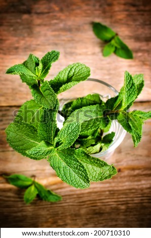 mint on a dark wood background. toning. selective focus to the top leaves of the lower mint.