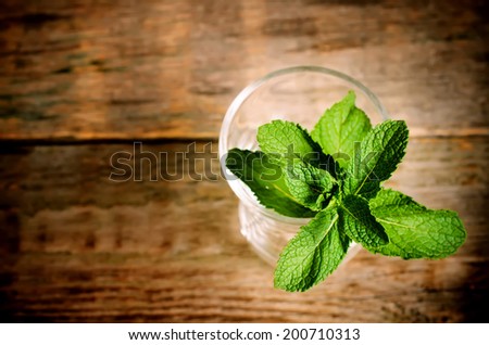 mint on a dark wood background. toning. selective focus to the top leaves of mint.