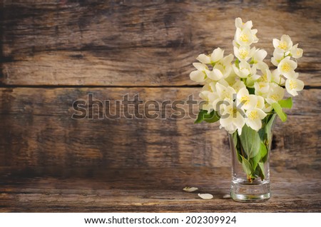 Jasmine flowers on a dark wood background. toning. selective focus on the middle jasmine flower.
