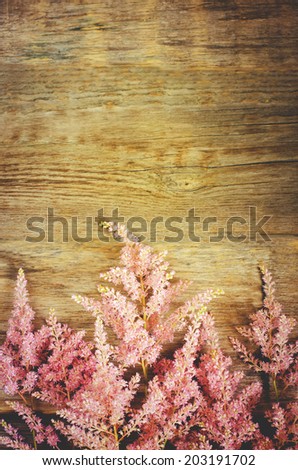 pink flowers on a dark wood background. toning. selective focus on the top middle flower