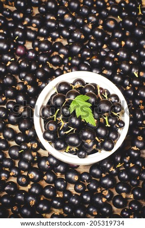 black currants in the white bowl on a black currants background. toning. selective focus on leave