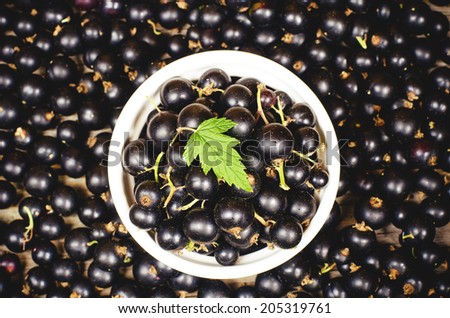 black currants in the white bowl on a black currants background. toning. selective focus on leave